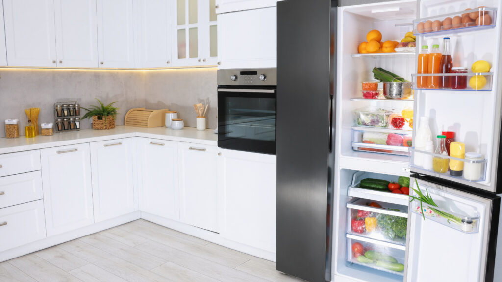 アイリスオーヤマの冷蔵庫を買ってはいけない理由