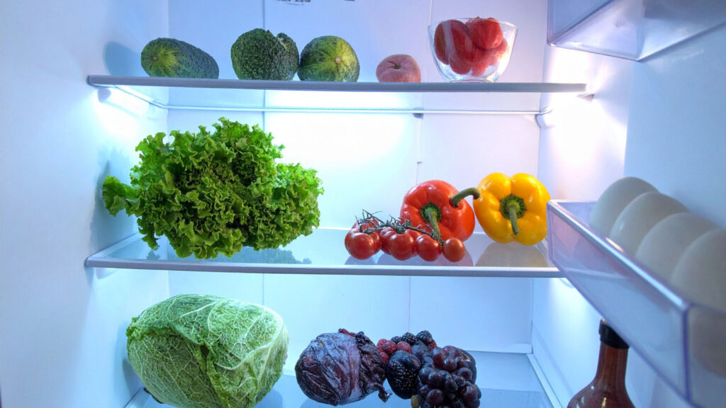 アイリスオーヤマの冷蔵庫を買ってはいけない人の特徴