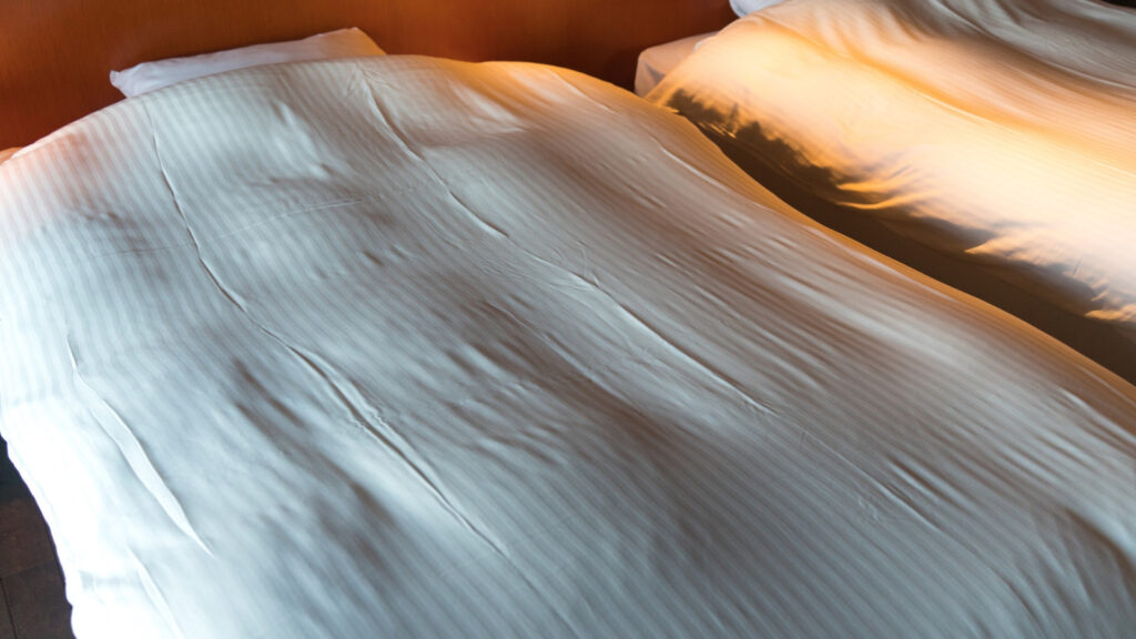 買ってはいけない羽毛布団を避ける対策