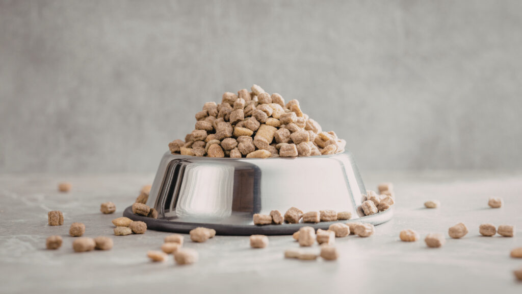 買ってはいけないドッグフードの商品名を実名リストで紹介