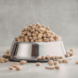 買ってはいけないドッグフードの商品名一覧と安全な選び方