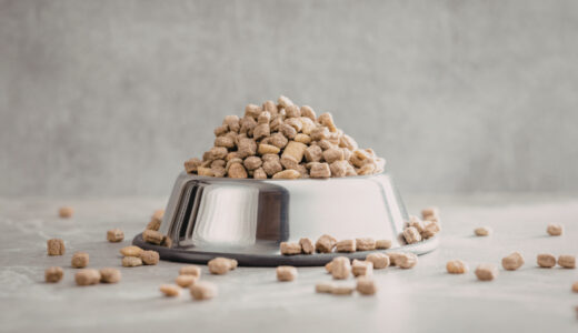 買ってはいけないドッグフードの商品名一覧と安全な選び方