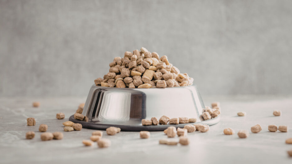 買ってはいけないドッグフードの商品名一覧と安全な選び方